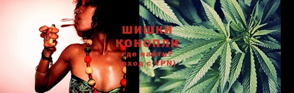 крисы Белокуриха