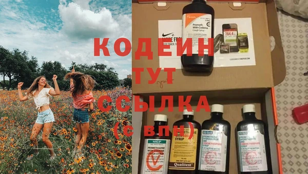 крисы Белокуриха