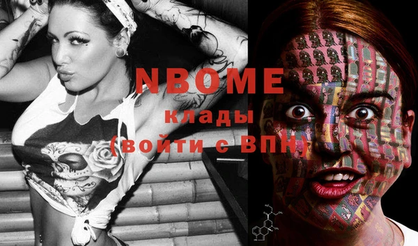 крисы Белокуриха