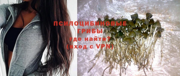 крисы Белокуриха
